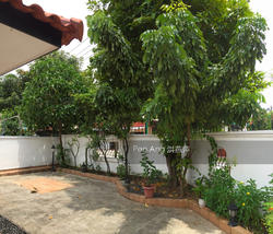 Macpherson Garden Estate (D13), Terrace #156229692